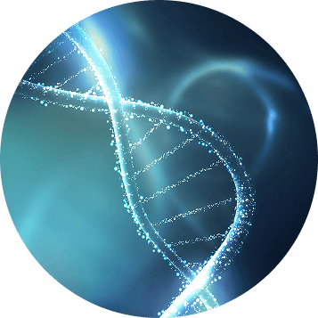 DNA double helix
